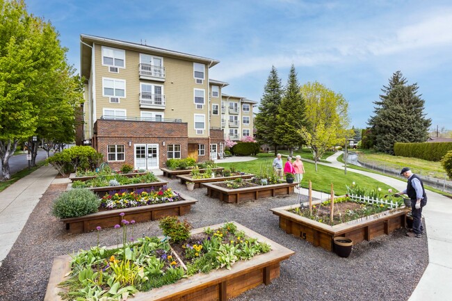 The Terraces at Summitview (Seniors 62+) in Yakima, WA - Foto de edificio - Building Photo