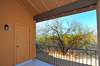 6651 N Campbell Ave in Tucson, AZ - Building Photo - Building Photo