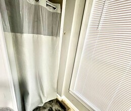 539 Packard St in Ann Arbor, MI - Building Photo - Building Photo