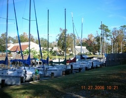 Castine Cove Apartments in Mandeville, LA - Building Photo - Building Photo