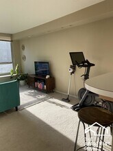 1313 N Ritchie Ct in Chicago, IL - Building Photo - Building Photo