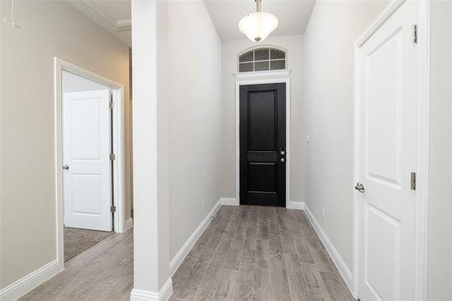 4816 Dewy Rose Ln in Fort Worth, TX - Building Photo - Building Photo