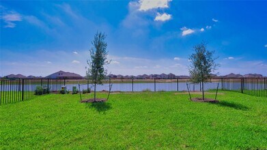 2556 Allegretto Sea Dr in Katy, TX - Building Photo - Building Photo