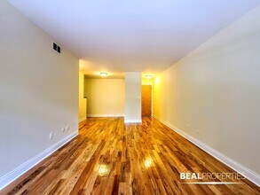 555 W Arlington Pl in Chicago, IL - Building Photo - Building Photo