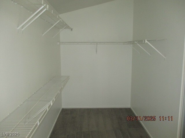 8589 Coyote Peak Cir