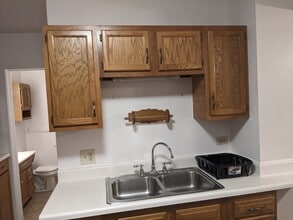 72 Park Ave, Unit Apt 1 in Binghamton, NY - Building Photo - Building Photo