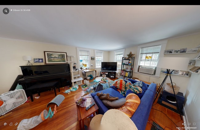 24 Gibson St