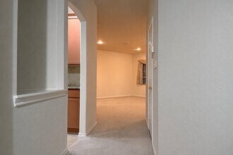 169 Red Hawk Ridge in San Antonio, TX - Building Photo - Building Photo