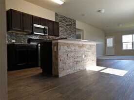 14313 Almodine Rd in Manor, TX - Building Photo