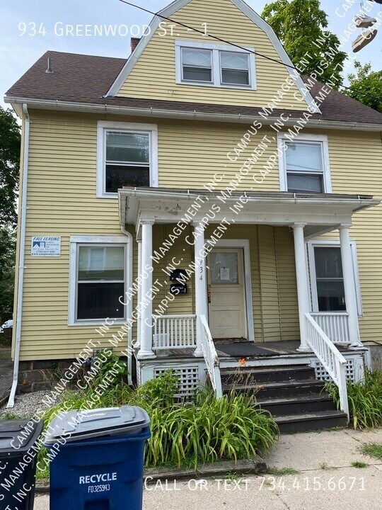 934 Greenwood Ave in Ann Arbor, MI - Building Photo