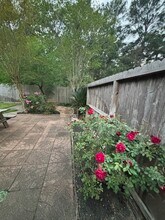 20715 Louetta Oak Dr in Spring, TX - Building Photo - Building Photo