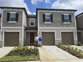 10810 Ft White Ct in Tampa, FL - Building Photo - Building Photo
