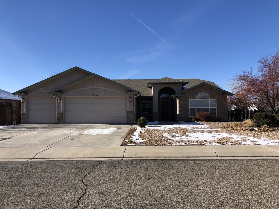 789 Silver Plume Dr in Fruita, CO - Building Photo