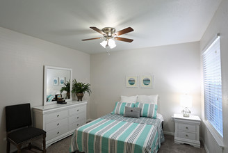 Turtle Creek Apartment Homes in Lutz, FL - Building Photo - Interior Photo