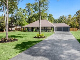 19502 Balsas Dr in Porter, TX - Building Photo