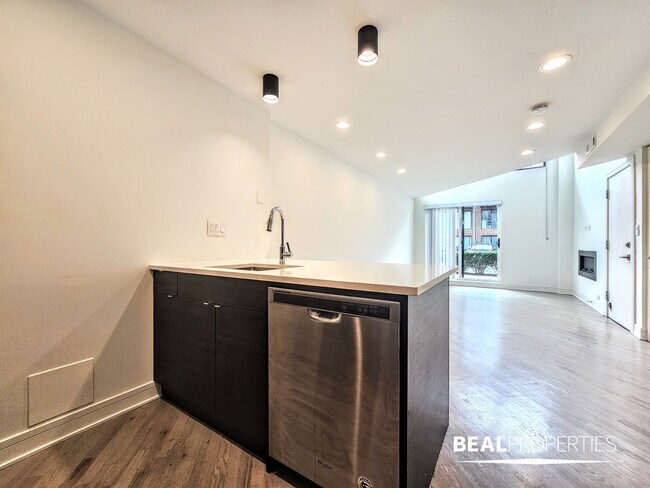 954 W Grace St in Chicago, IL - Building Photo - Building Photo