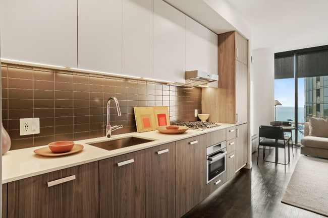 453 E Waterside Dr in Chicago, IL - Building Photo - Building Photo