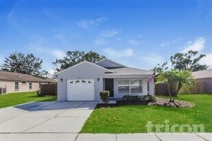 22210 Bell Harbor Dr in Land O Lakes, FL - Building Photo
