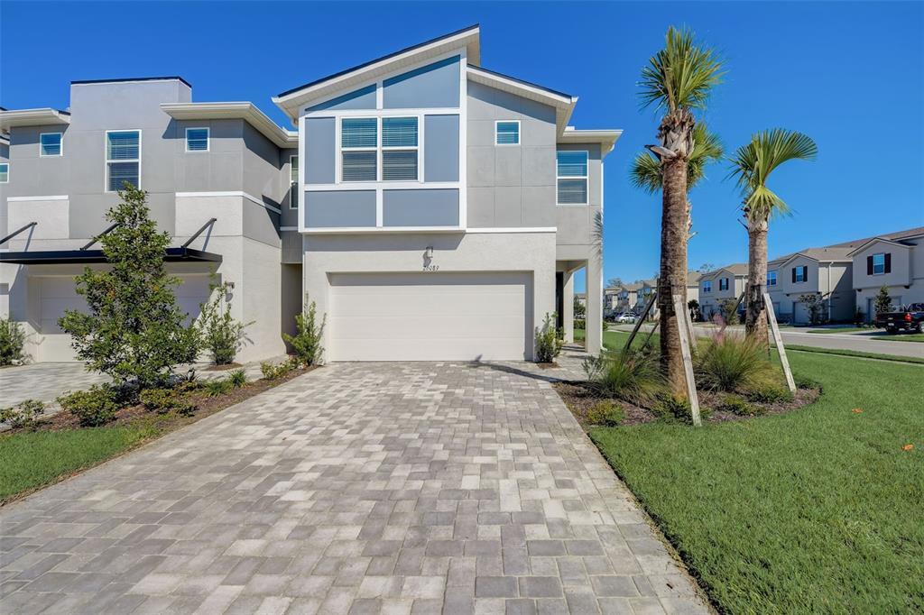 26089 Woven Wicker Bnd in Lutz, FL - Building Photo