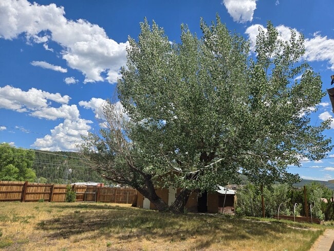 218 N 5th St in Pagosa Springs, CO - Building Photo - Building Photo