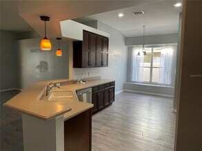 11314 Flora Springs Dr in Riverview, FL - Building Photo - Building Photo