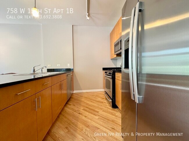 758 W 15th St in Chicago, IL - Foto de edificio - Building Photo