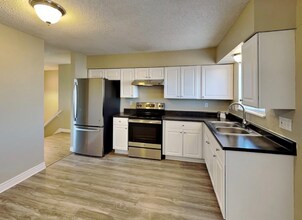 7048 N Lamar St in Arvada, CO - Building Photo - Building Photo