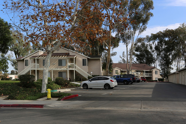 The Park in Vista, CA - Building Photo - Building Photo