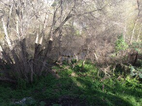 1250 River St in Santa Cruz, CA - Building Photo - Building Photo
