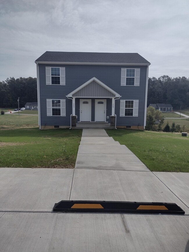 property at 265 Palmetto Loop