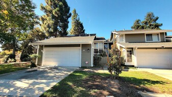 34249 Tempest Terrace