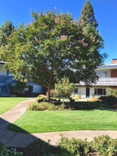 Noel Court Apartments in Menlo Park, CA - Building Photo - Building Photo