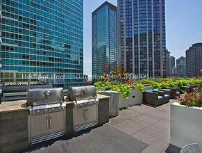 309 E Ohio St-Unit -0 in Chicago, IL - Building Photo - Building Photo