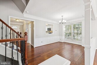 16864 Miranda Ln in Woodbridge, VA - Building Photo - Building Photo