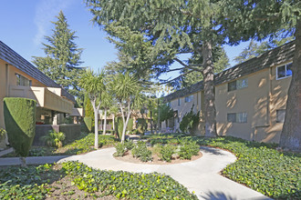 The Mediterranean Apartments in San Jose, CA - Building Photo - Building Photo