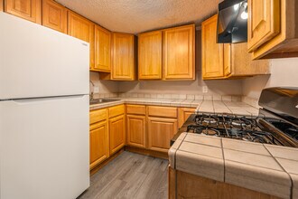 443-447 1/2 Ulysses St. in Los Angeles, CA - Building Photo - Interior Photo