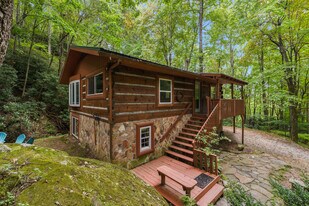 202 Blue Grass Rd in Roan Mountain, TN - Building Photo