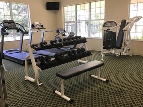 3848 Lexmark Ln-Unit -302 in Rockledge, FL - Building Photo - Building Photo