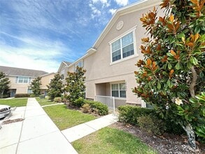 27507 Desert Willow Way in Wesley Chapel, FL - Building Photo - Building Photo