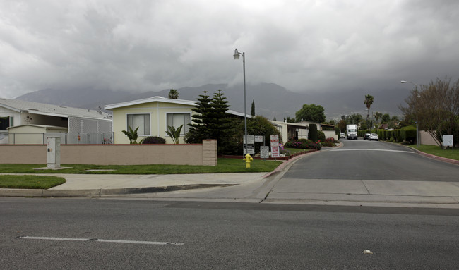 Alta Vista in Rancho Cucamonga, CA - Foto de edificio - Building Photo