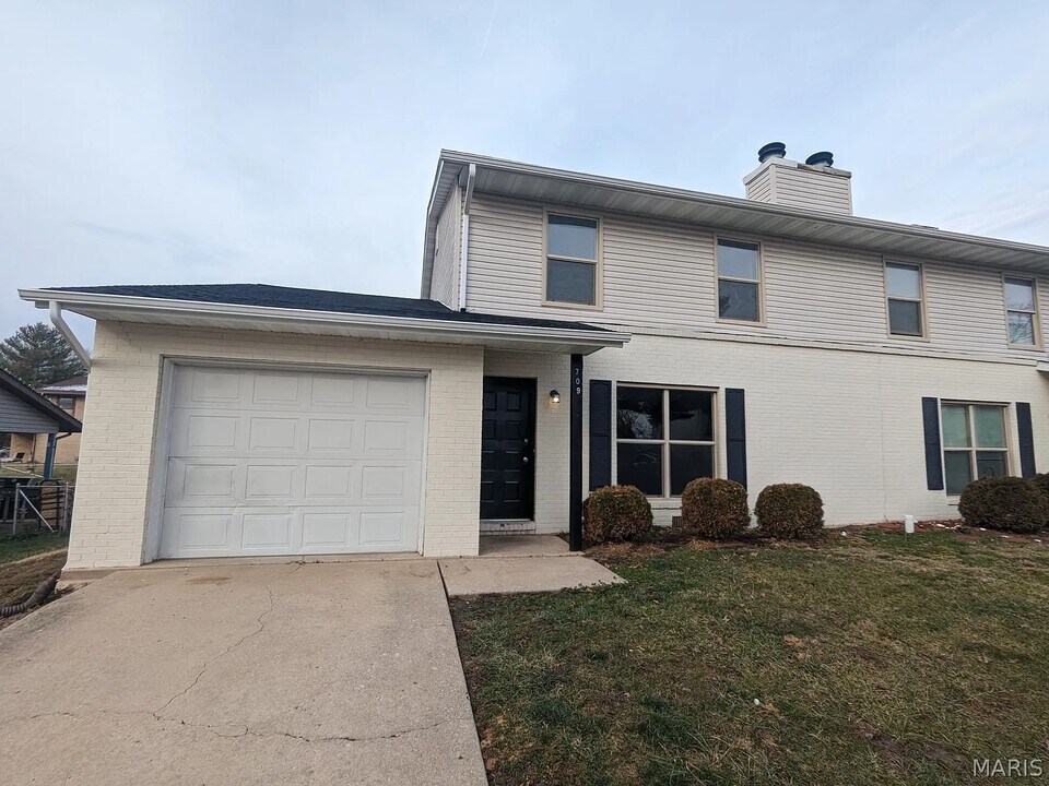 709 Ganim Dr in Belleville, IL - Building Photo