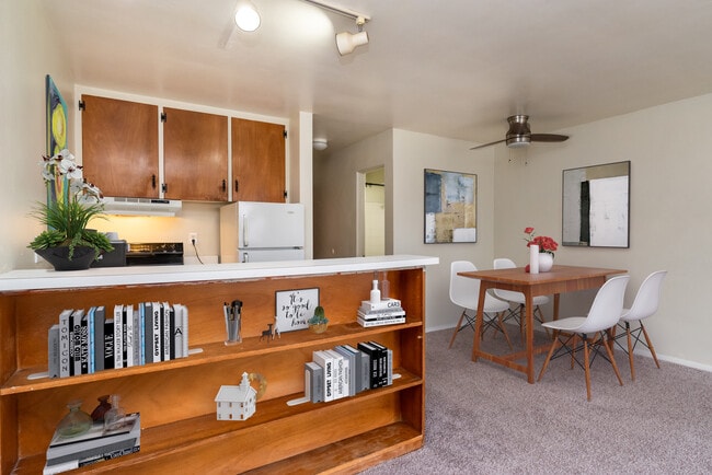 1033 Downing Apartments