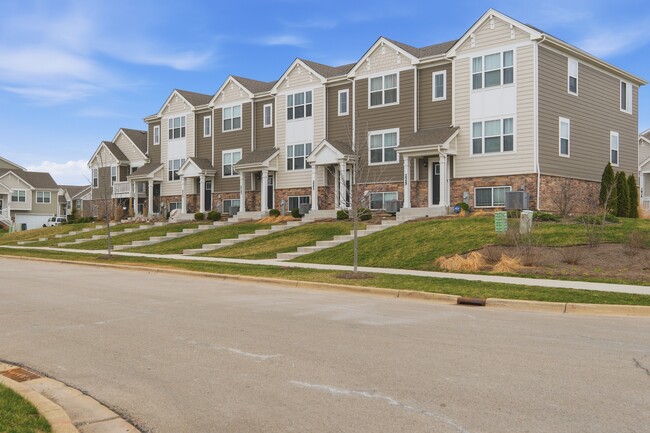 217 Goldenrod Dr in Elgin, IL - Building Photo - Building Photo