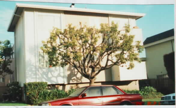 Parkview Apartments in Millbrae, CA - Building Photo