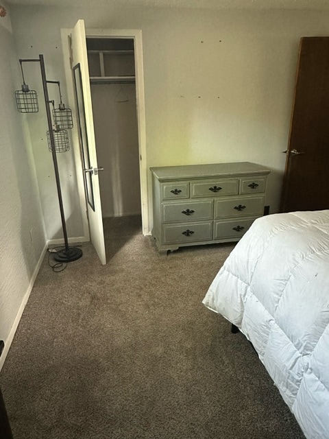 3634 Alpine Pl in Colorado Springs, CO - Building Photo - Building Photo