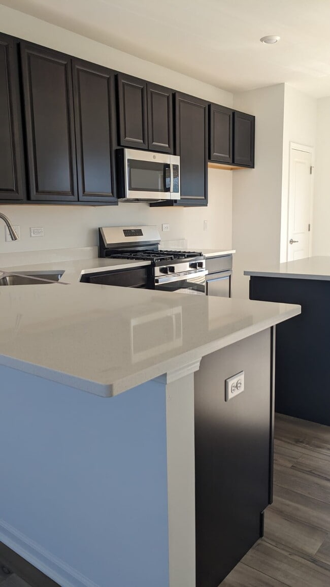 12383 Tinsley St in Huntley, IL - Building Photo - Building Photo