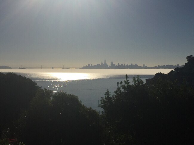 503 North St in Sausalito, CA - Foto de edificio - Building Photo