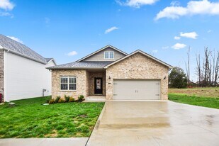 206 Olivette Ln in Clarksville, TN - Building Photo