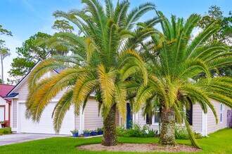 11059 Ridge Point Dr in Jacksonville, FL - Building Photo - Building Photo