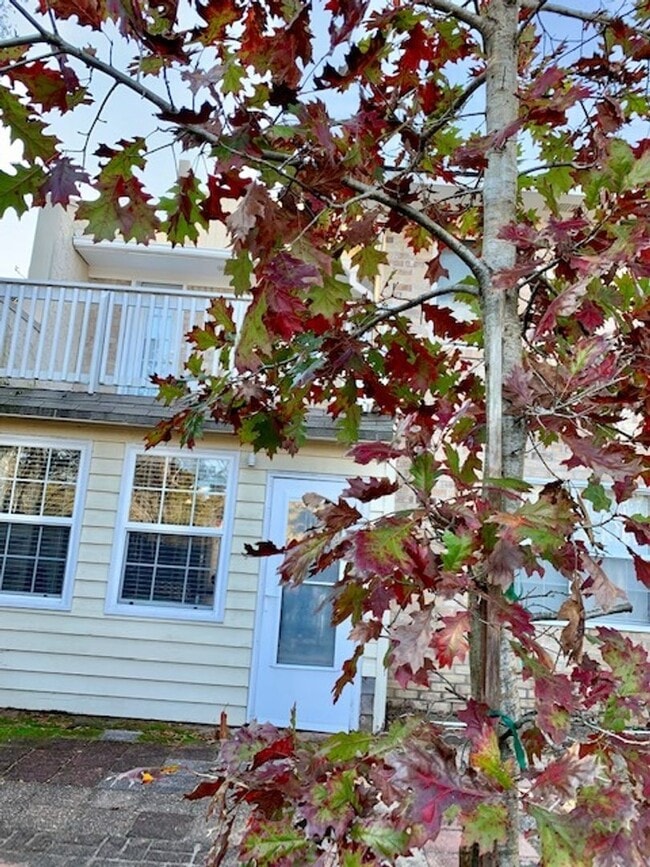 47 Rivers Point Row in Charleston, SC - Building Photo - Building Photo